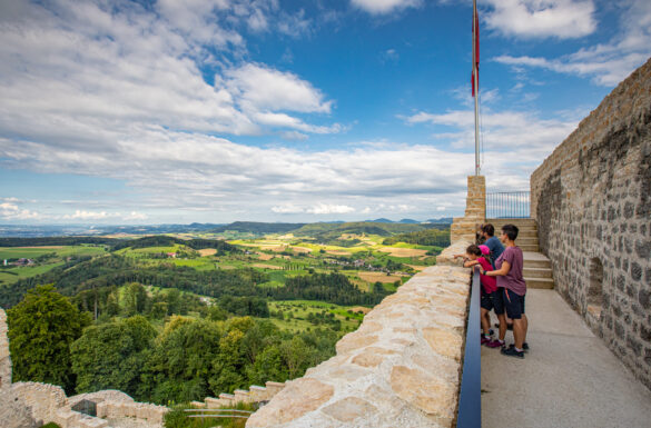 Burgentour zur Ruine Farnsburg