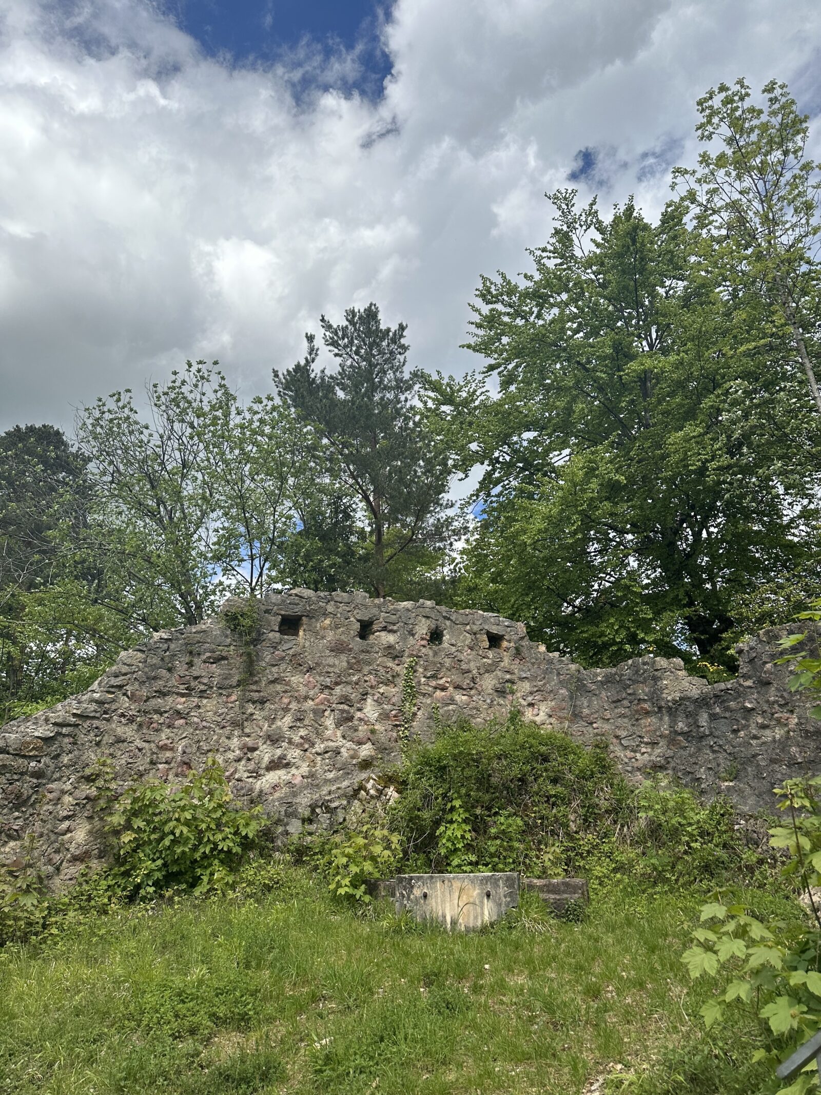 Ruine Scheidegg 4