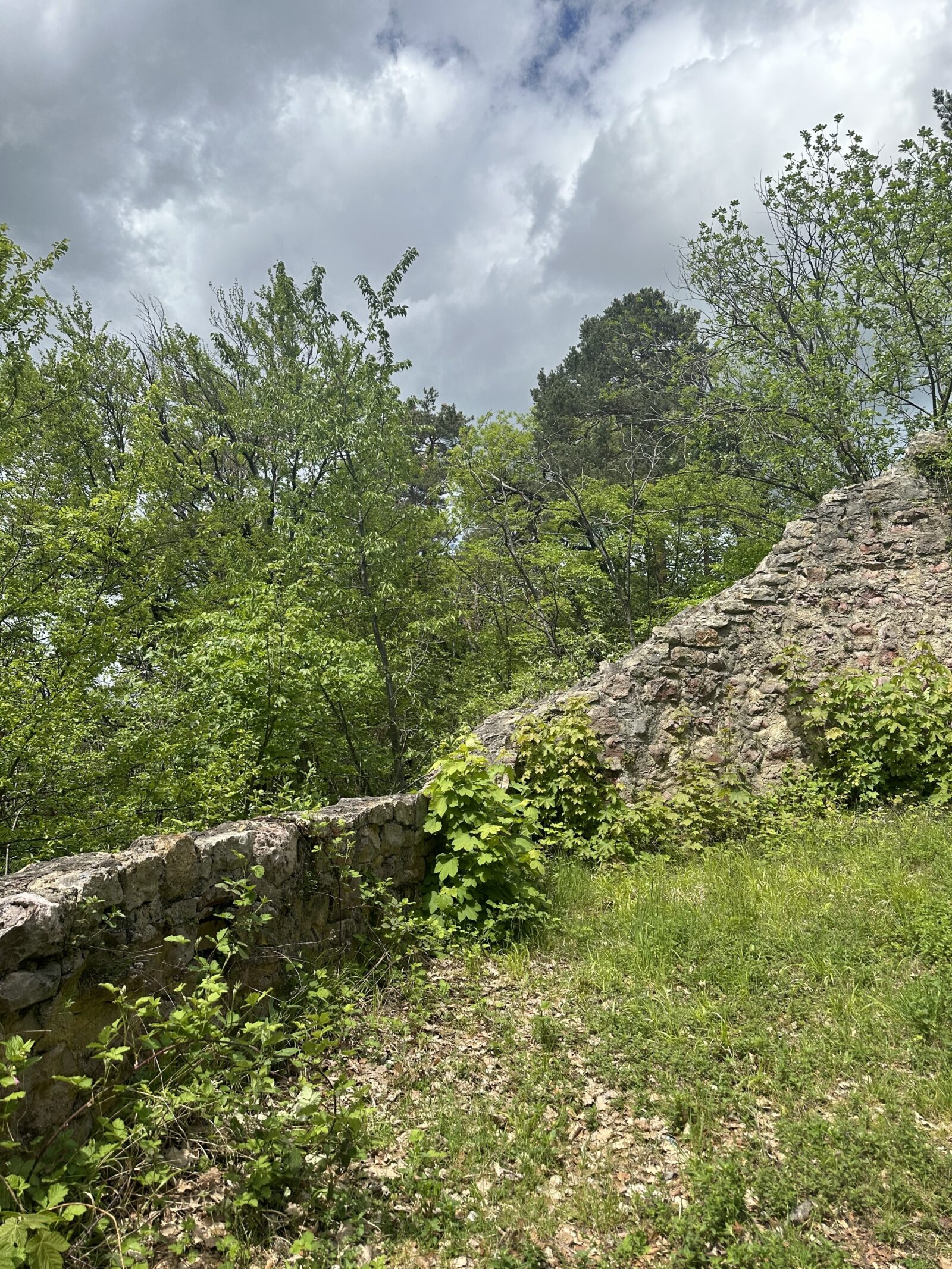 Ruine Scheidegg 13