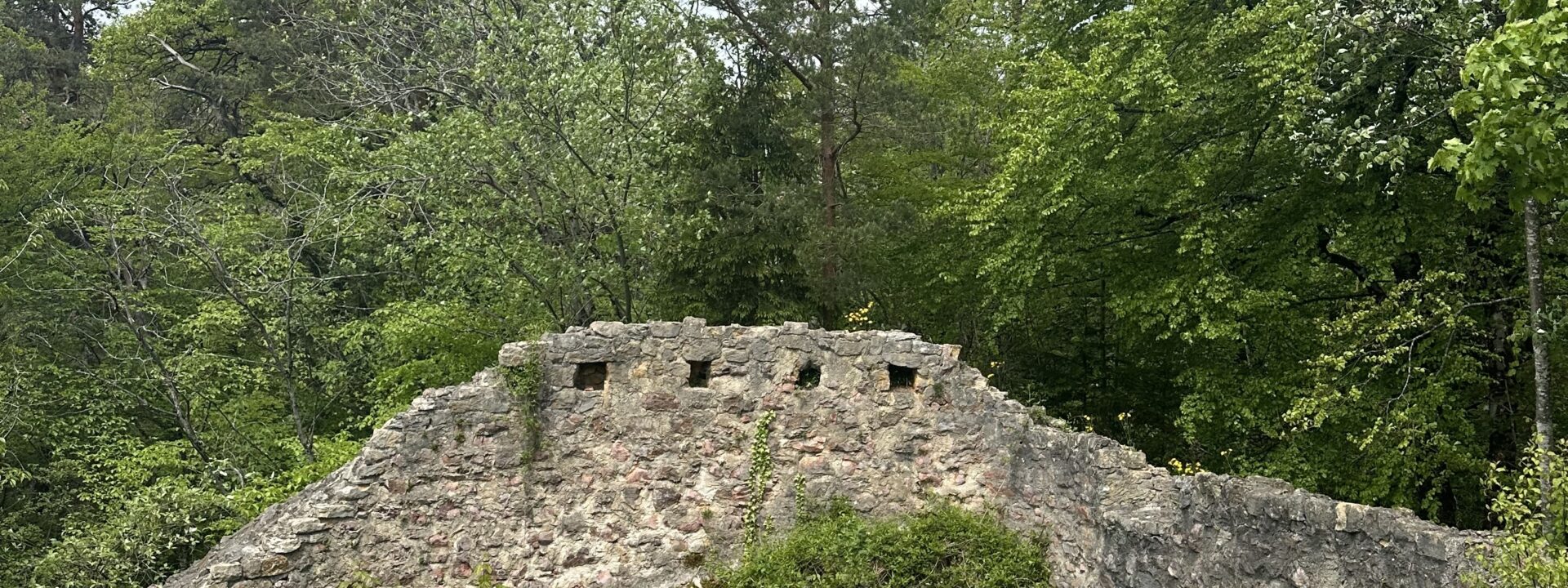 Ruine Scheidegg